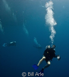 Katja.  Coral Sea.  Canon G-10. by Bill Arle 